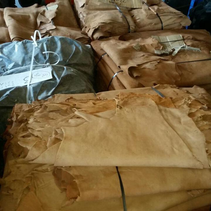 Cabras camel vegetal