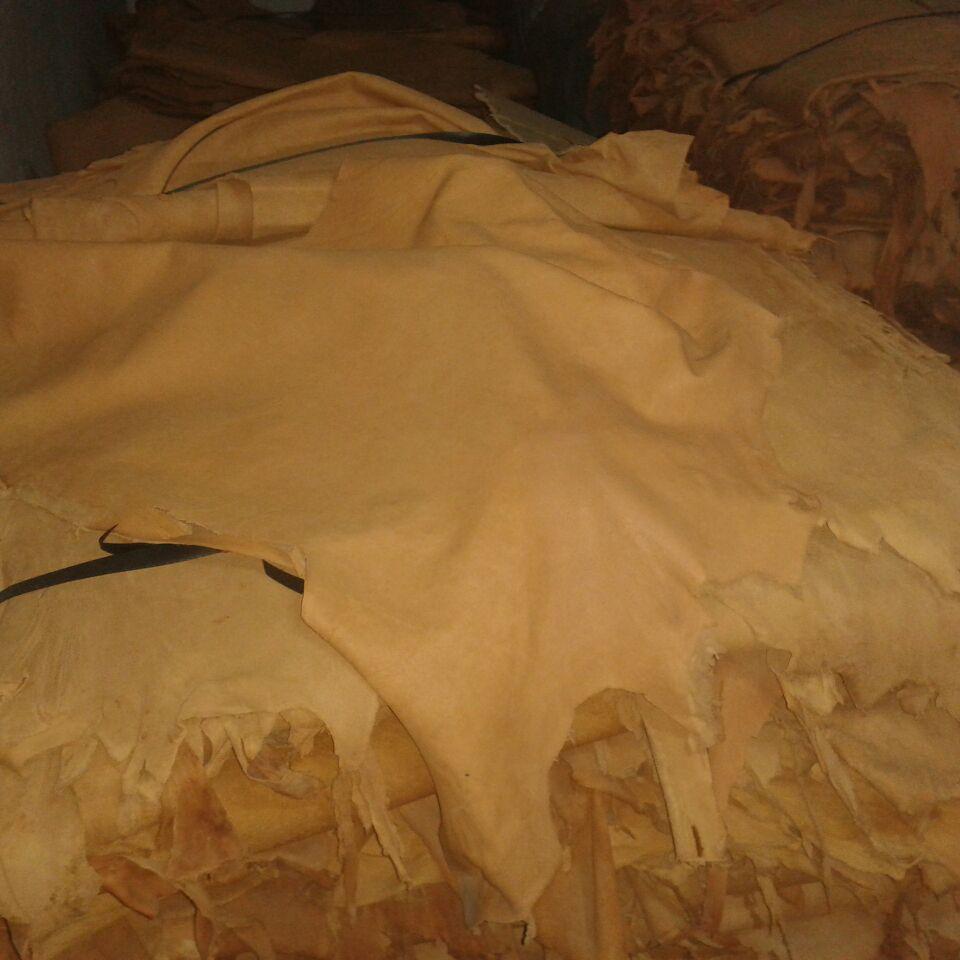 Cabras camel vegetal